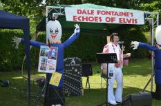 Elvis performs for the crowds
